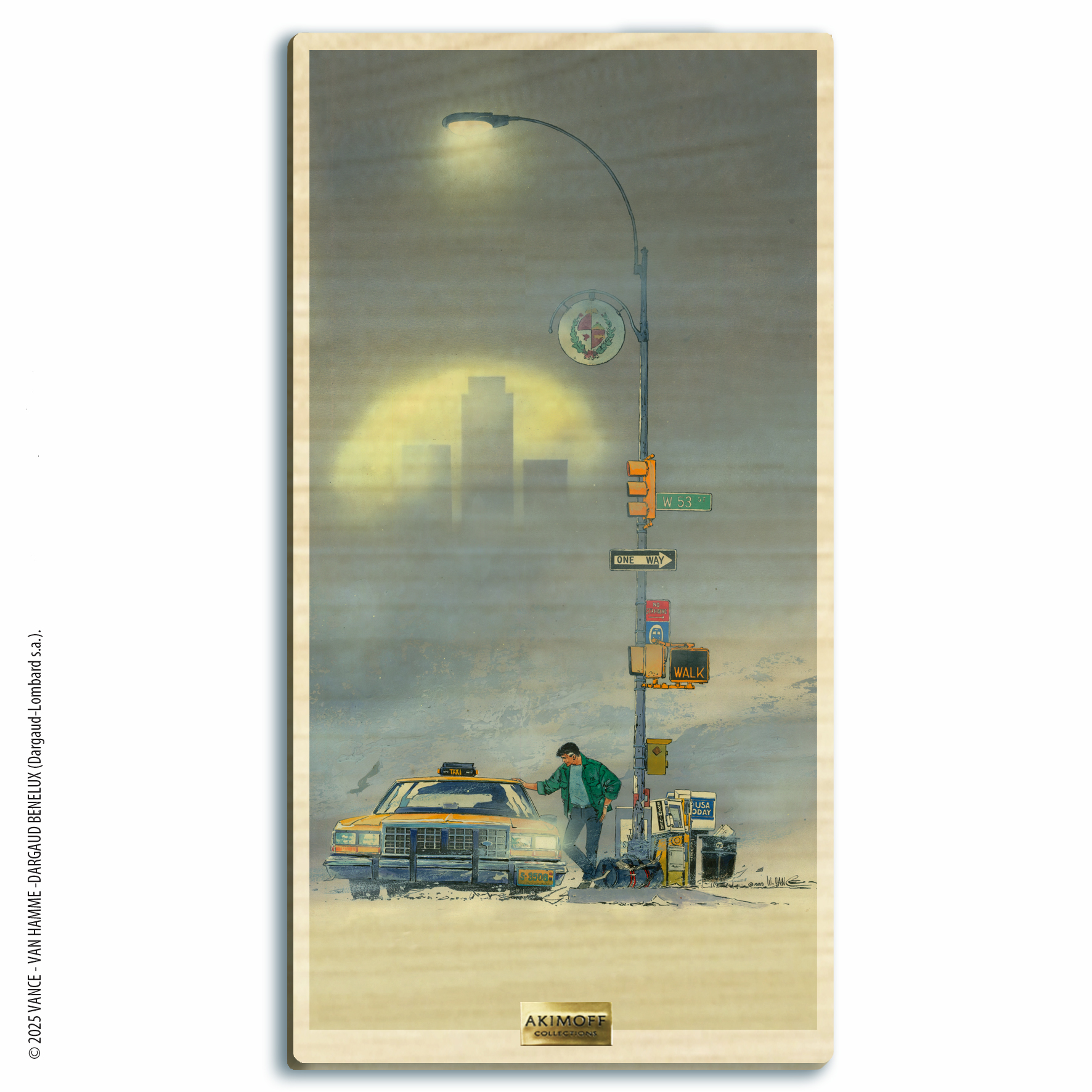 TABLEAU DE COLLECTION EN BOIS - XIII - L'HOMME SANS PASSÉ